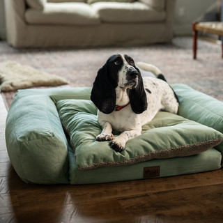 Thumbnail 17: Carolina Pet Company Rectangle Pet Couch 