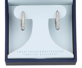 Thumbnail 2: AQUAMIR Tarnish Resistant Hoop Earrings  