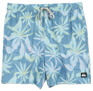 Thumbnail 1: Quiksilver Men's Blue Shadow Volley Shorts  