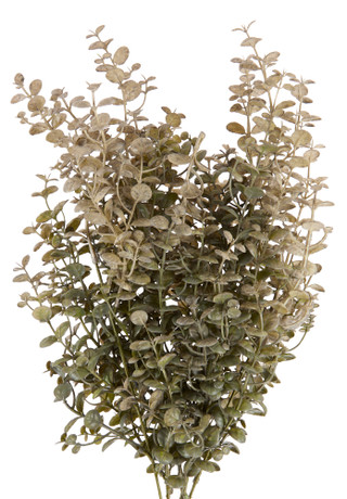 Thumbnail 2: Supreme Silk Eucalyptus Bundle 