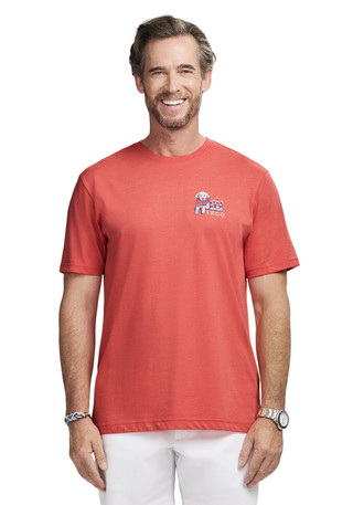Thumbnail 3: IZOD Men's Saltwater Short Sleeve Graphic Tee 