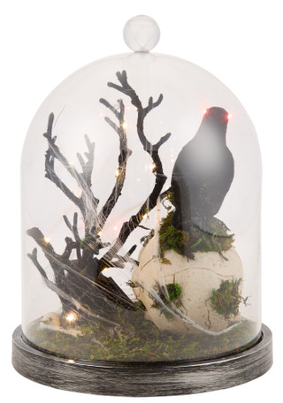 Thumbnail 4: Magical Season 11.75 in LED Raven, Skull & Tomb Halloween Cloche Decor 