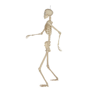 Thumbnail 5: Magical Season 33" LED Sound Sensor Skeleton Decoration 