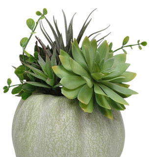 Thumbnail 2: IJK LIMITED-IMPORT Succulent Pumpkin Harvest Tabletop Arrangement 