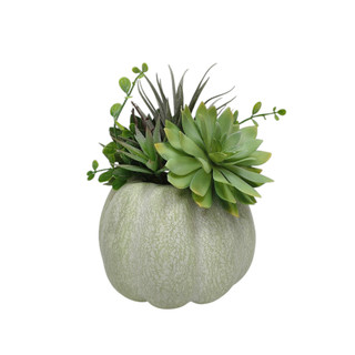 Thumbnail 1: IJK LIMITED-IMPORT Succulent Pumpkin Harvest Tabletop Arrangement 