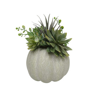 Thumbnail 3: IJK LIMITED-IMPORT Succulent Pumpkin Harvest Tabletop Arrangement 