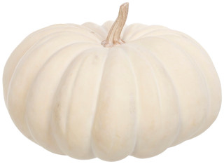 Thumbnail 1: Autumn Gatherings 18 in Cream Harvest Pumpkin Home Accent  