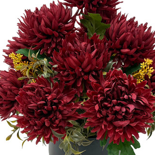 Thumbnail 2: Brighten the Season Burgundy Chrysanthemum Arrangement in Pot with UV Protection 