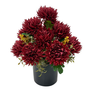 Thumbnail 1: Brighten the Season Burgundy Chrysanthemum Arrangement in Pot with UV Protection 