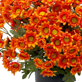 Thumbnail 2: Brighten the Season Two-Tone Orange Daisy Arrangement in Pot with UV Protection 