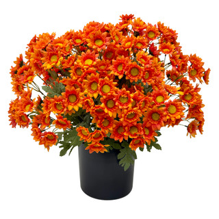 Thumbnail 1: Brighten the Season Two-Tone Orange Daisy Arrangement in Pot with UV Protection 
