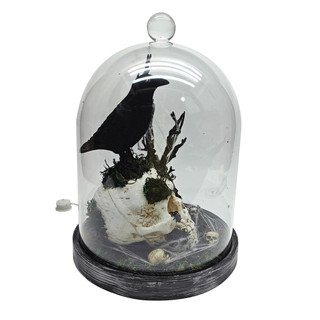 Thumbnail 3: Magical Season  LED Raven Skeleton Cloche 