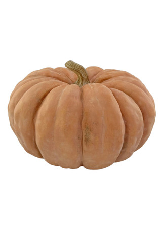Thumbnail 2: Autumn Gatherings 12" Resin Orange Lumpy Pumpkin Tabletop Decor 