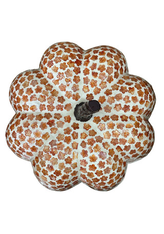 Thumbnail 3: Autumn Gatherings 11" Capiz White & Orange Pumpkin Tabletop Decor 