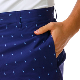 Thumbnail 3: TAILORBYRD Men's Printed Performance Shorts 