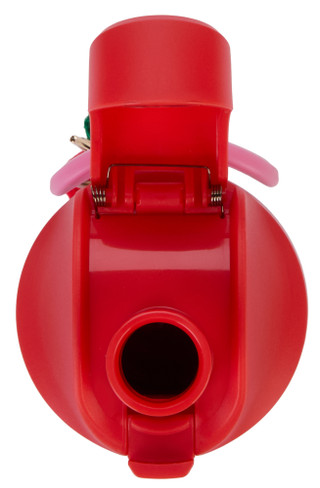 Thumbnail 3: A little obsessed 16 oz Cherry Bow Stripe Water Bottle 