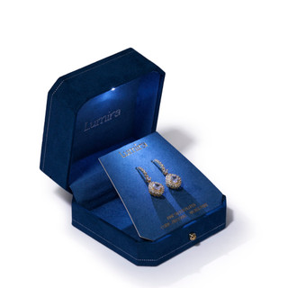 Thumbnail 2: Lumira Fine Silver Plated Round Drop Earrings 