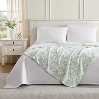 Thumbnail 1: Laura Ashley Laura Ashley Toile Delight Microfiber Throw 