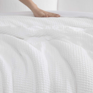 Thumbnail 8: Laura Ashley Laura Ashley Waffle Bella Microfiber Comforter Set 
