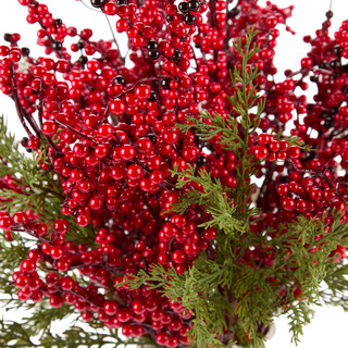 Thumbnail 3: Magical Season Berry Arrangement in Decorative Pot 