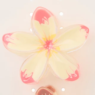 Thumbnail 2: TWIG & ARROW 2-Piece Hibiscus Hair Claw Clip Set 