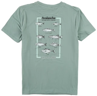 Thumbnail 2: AVALANCHE Boys Short Sleeve Graphic Tee 