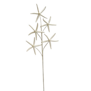 Thumbnail 1: Magical Season 21" White Starfish Christmas Tree Pick 