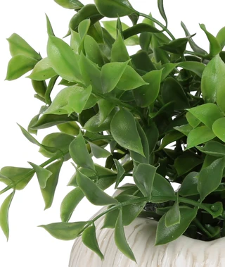 Thumbnail 2: Siena Home 9.5 in Ceramic Pot with Faux Plant 