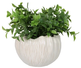Thumbnail 1: Siena Home 9.5 in Ceramic Pot with Faux Plant 