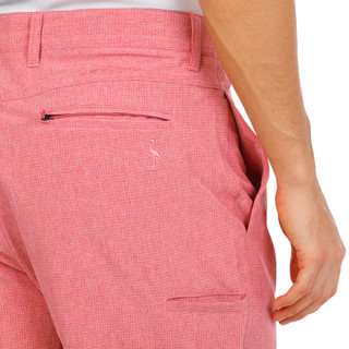 Thumbnail 2: TAILORBYRD Men's Grid Performance Golf Shorts  