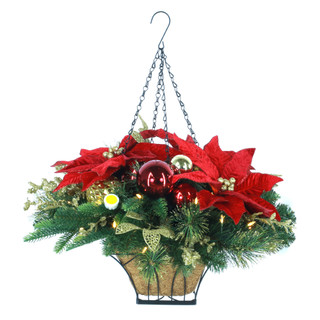 Thumbnail 1: Magical Season Poinsettia Hanging Basket 