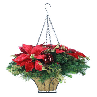 Thumbnail 2: Magical Season Poinsettia Hanging Basket 