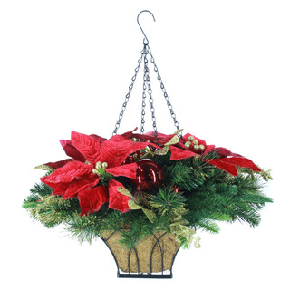 Thumbnail 3: Magical Season Poinsettia Hanging Basket 