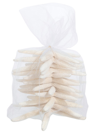 Thumbnail 2: Contrast Bagged Starfish Decor Accents 