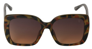 Thumbnail 2: FRYE & CO Large Square Sunglasses 