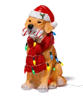 Thumbnail 1: Magical Season 18 in LED Christmas Dog with Hat, Scarf & Bone Decor 