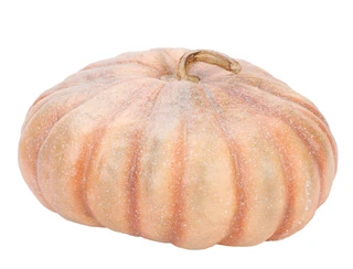 Thumbnail 1: 14 in Pumpkin Home Accent 
