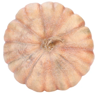 Thumbnail 2: 14 in Pumpkin Home Accent 