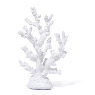 Thumbnail 3: Fancy That 10 in Coastal Coral Reef Accent  