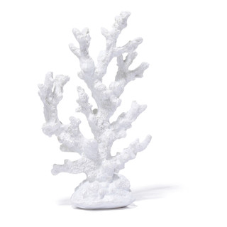 Thumbnail 4: Fancy That 10 in Coastal Coral Reef Accent  