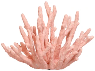Thumbnail 1: THREE HANDS CORP. Pink Coral Decorative Figurine  