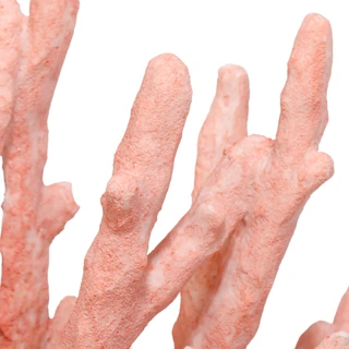 Thumbnail 3: THREE HANDS CORP. Pink Coral Decorative Figurine  