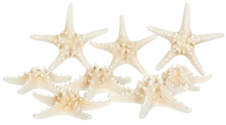 Thumbnail 1: Contrast Bleached Starfish Decorative Accent Bag - 8" x 5" x 8" 