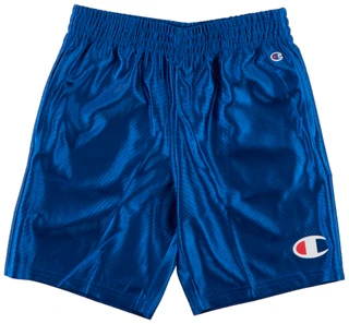Thumbnail 1: Champion Boys Stretch Waste Core Shorts  