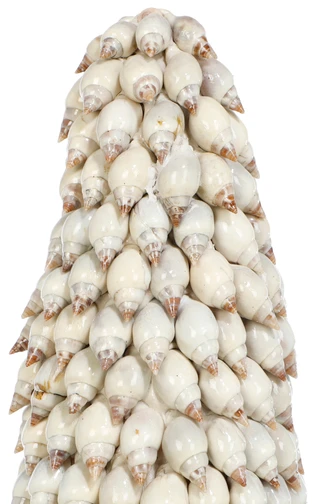 Thumbnail 2: Ellen Tracy 22 In Shell Christmas Tree 