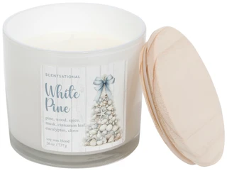 Thumbnail 1: SCENTSATIONAL 26 OZ White Pine Scented 3 Wick Candle 