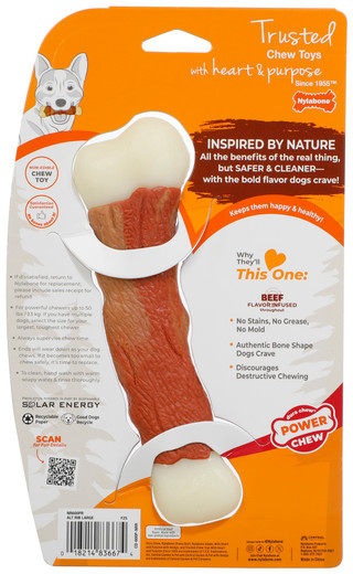 Thumbnail 2: Nylabone Beef Flavored Power Dog Chew 