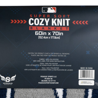 Thumbnail 2: New York Yankees 60x70 Supersoft MLB Yankees Throw Blanket 