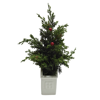 Thumbnail 2: Magical Season 17 In Mini Cedar Christmas Tree in Ceramic House Planter 
