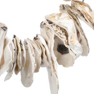 Thumbnail 2: Brighten the Season 12 In Coastal Oyster Shell Christmas Wreath 